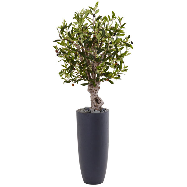 Brayden Studio® 24.25" Artificial Olive Tree in Planter & Reviews Wayfair